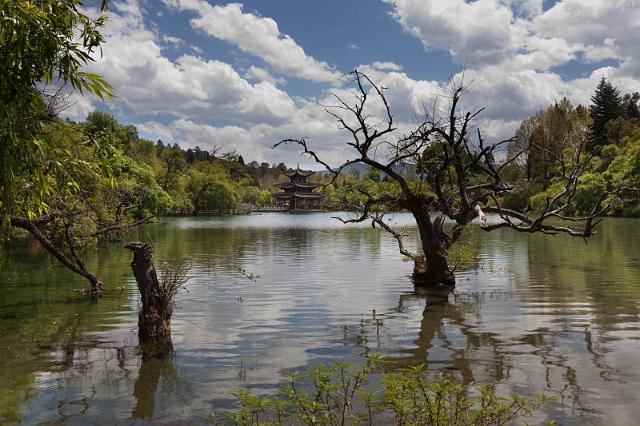 082 Lijiang, black dragon pool.jpg